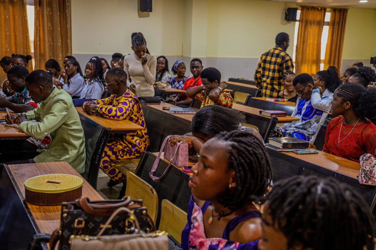 Eco-friendly baskets